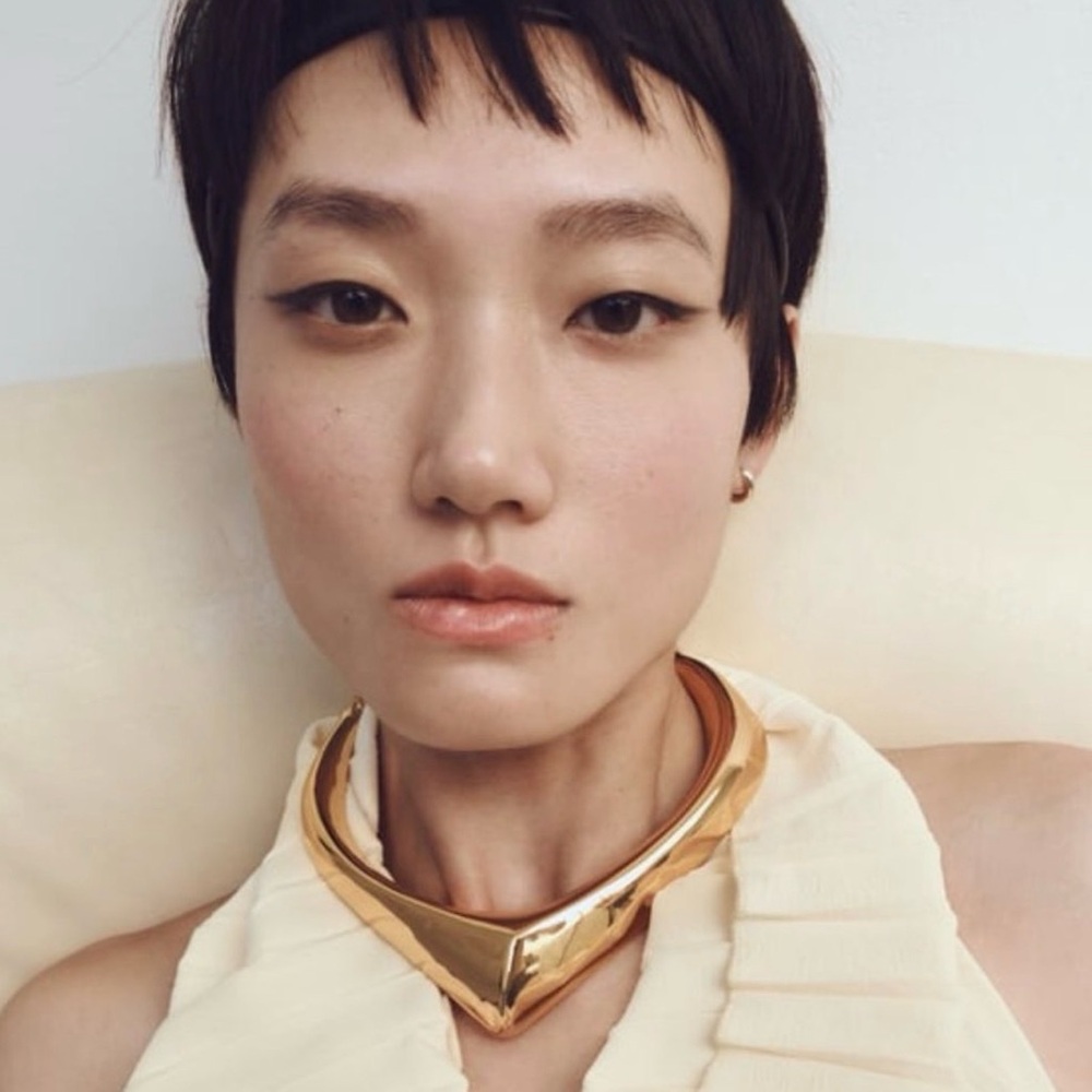 Zara High-Shine Gold V-Front Collar Necklace
